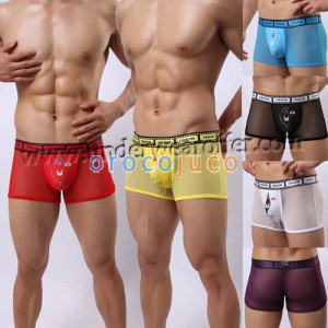 Sexy Men's Hi Racoon See-through Soft Mesh Boxers Briefs Underwear Comfy Videotape Style Боксеры M L XL 6 цветов для выбора MU375