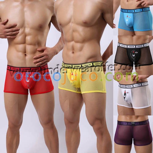 Sexy Men's Hi Racoon See-through Soft Mesh Boxers Briefs Underwear Comfy Videotape Style Boxers M L XL 6 Colors For Choose MU375