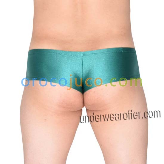 Men's Shiny Stretchy Boxers Thong NFL Underwear Bulge Pouch Sports Micro Briefs MU717