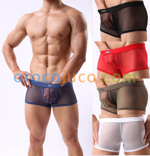 Sexy Men's See Through Soft Mesh Boxers Briefs Underwear Comfy Trunks Boxers M L XL 5 Colors For Choose MU345