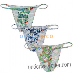 Men Cheeky Boxers Briefs Underwear Big Pouch String Micro Bikini Thong Pants MU779