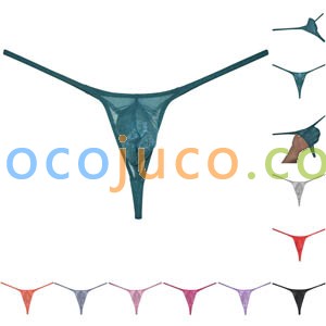 Sexy Men's Glass Yarn Bikini Thong Underwear See-through G-String Organdy Tangas