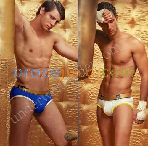 Sexy Mens Modal Underwear briefs shorts MU220