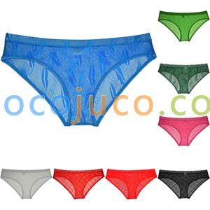 Men's See-through Lace Bikini Briefs Jacquard Pouch Bodybuilding Cheeky Underwear