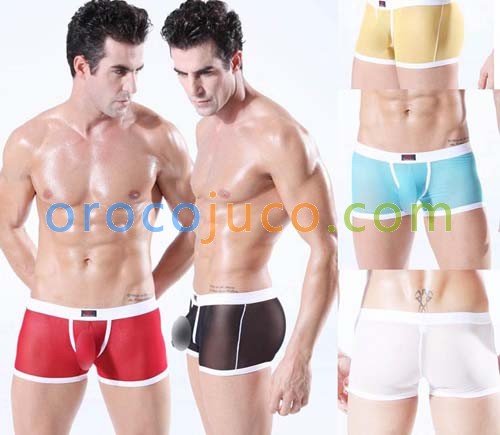 Sexy Men’s See-Through Mesh Boxer Short Bottoms Lithe Underwear Boxers Briefs MUI1856