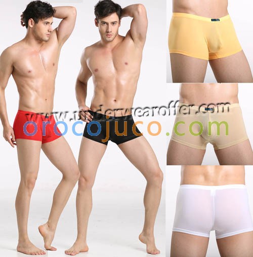 Sexy Men's Boxers Shorts Silky Soft Underwear Thin Pouch Boxer Asia Size S M L  UN882
