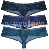 Men's Mesh Firmament Pouch Boxers Bikini Athletics Half Cover Back Underwear