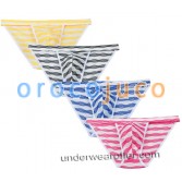 Männer Bluge Pouch Bikinis Briefs Hosen Unterwäsche einzigartige Streifen Mesh Mini Slip MU269X