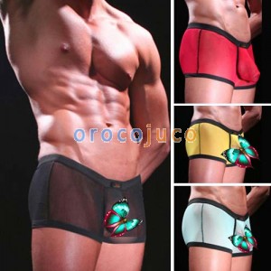 Sexy Männer Durchsichtige Unterwäsche Boxershorts MU128