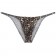 Brwon Leopard