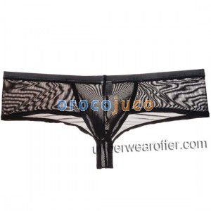 Intimo da uomo sexy Slip Cheek Boxer Underwear Slip bikini trasparente a rete trasparente MU721